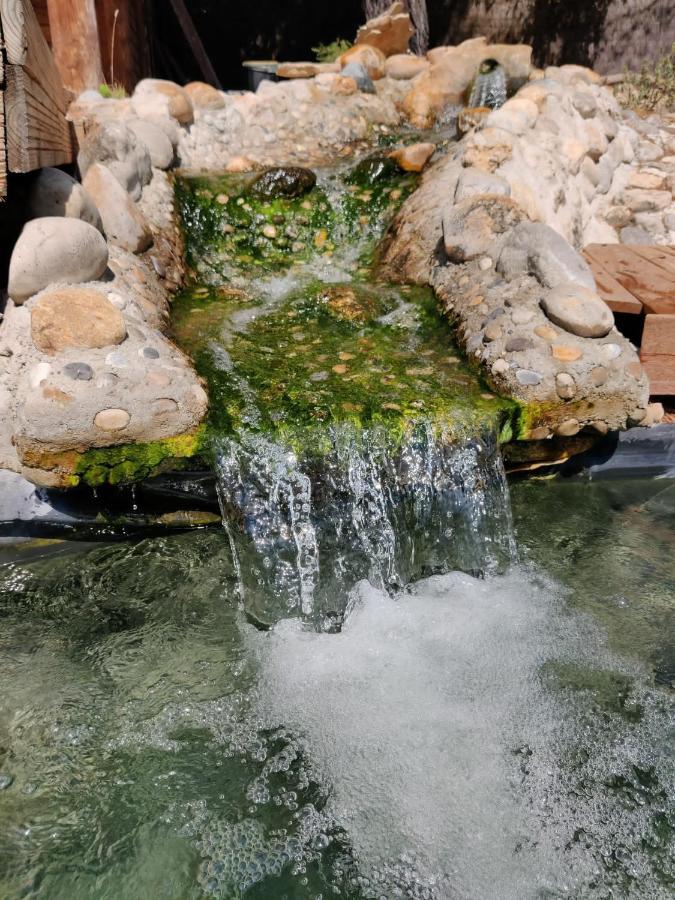 L'Etang Des Cigales Apartamento Uchaux Exterior foto