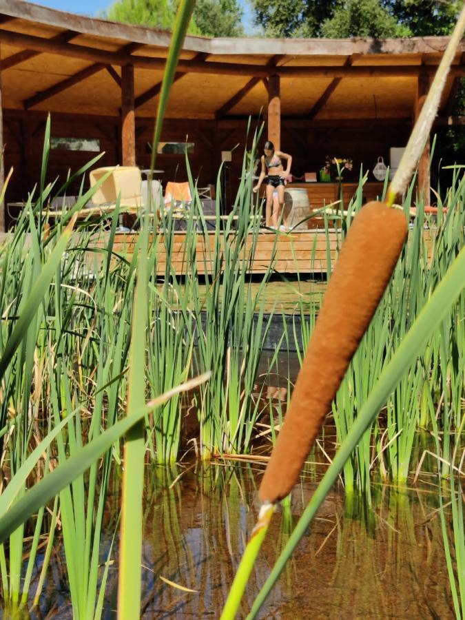 L'Etang Des Cigales Apartamento Uchaux Exterior foto