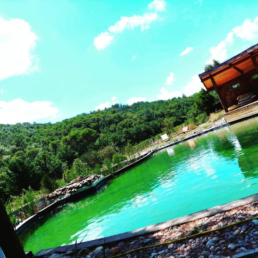 L'Etang Des Cigales Apartamento Uchaux Exterior foto
